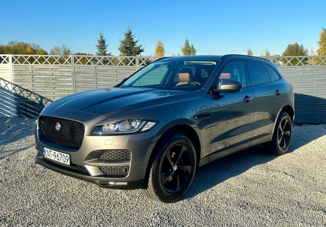 jaguar