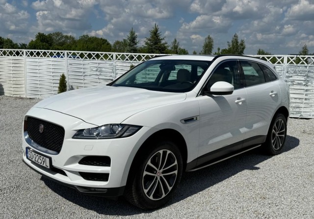 jaguar