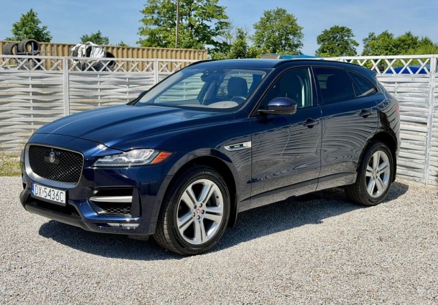 jaguar